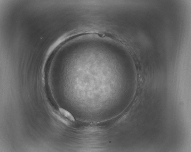 X0000083040246200702021159