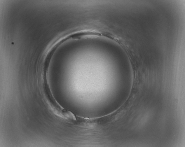 X0000083040247200702021159