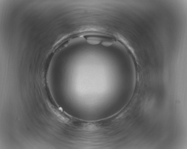 X0000083040249200702021159