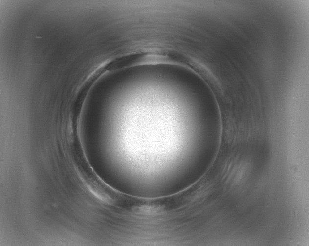 X0000083040251200702021159