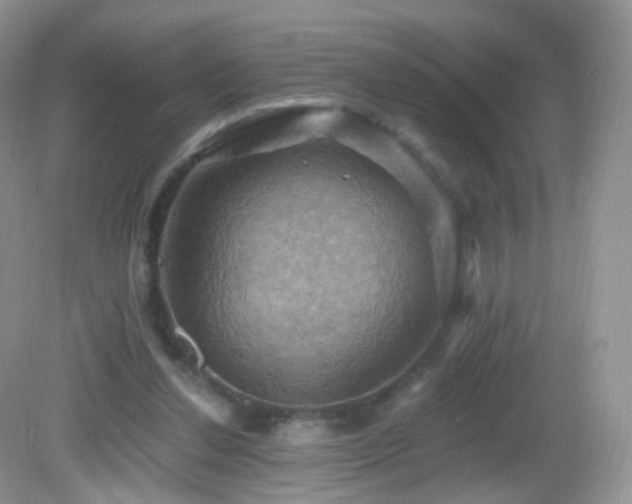 X0000083040252200702021159