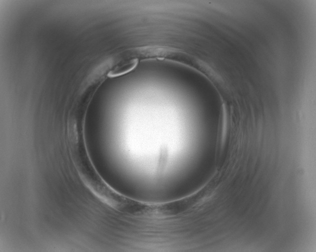 X0000083040254200702021159