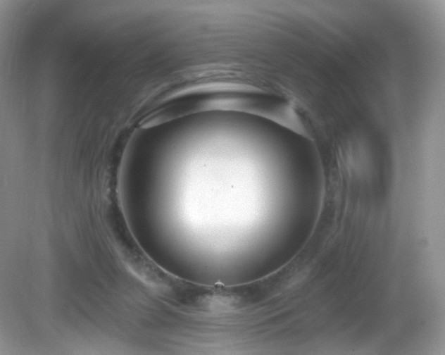 X0000083040255200702021159