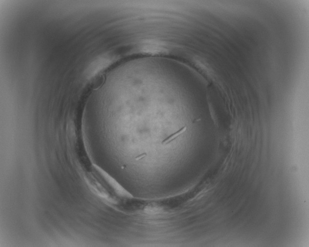 X0000083040256200702021159