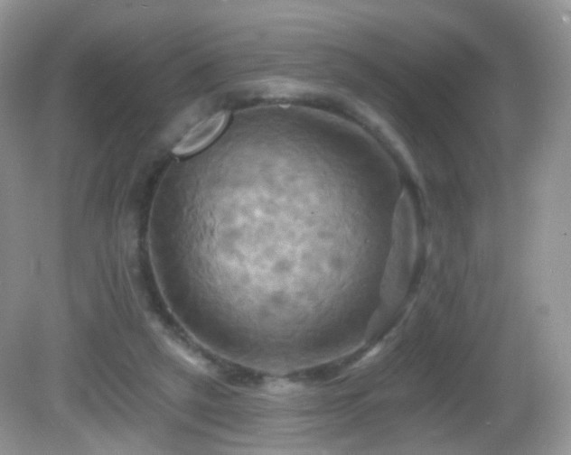 X0000083040257200702021159