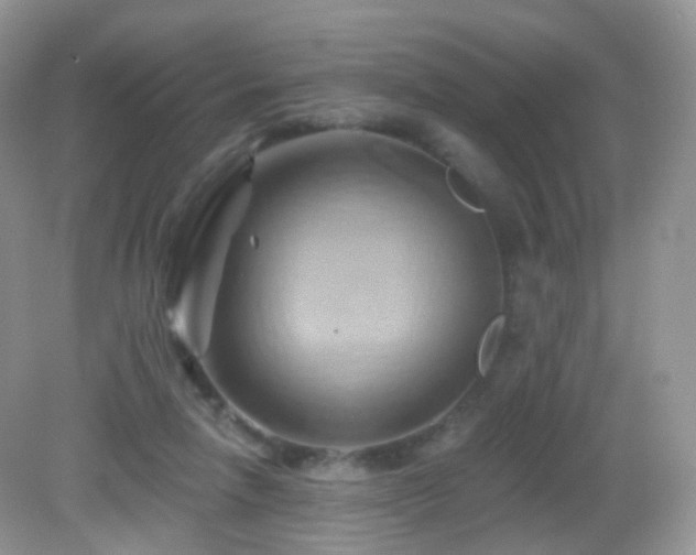 X0000083040258200702021159