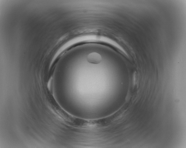 X0000083040260200702021159