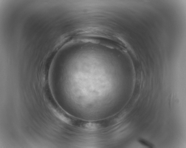 X0000083040261200702021159