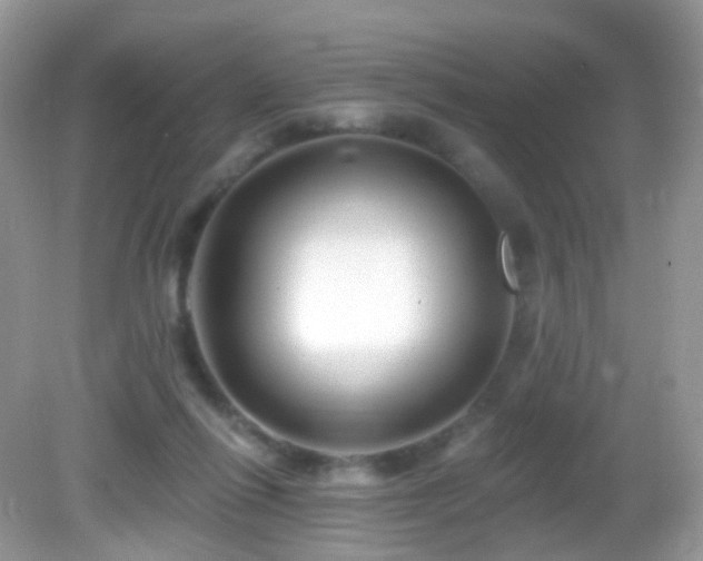 X0000083040262200702021159