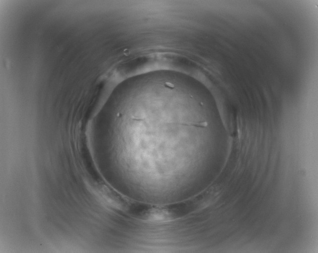 X0000083040263200702021159