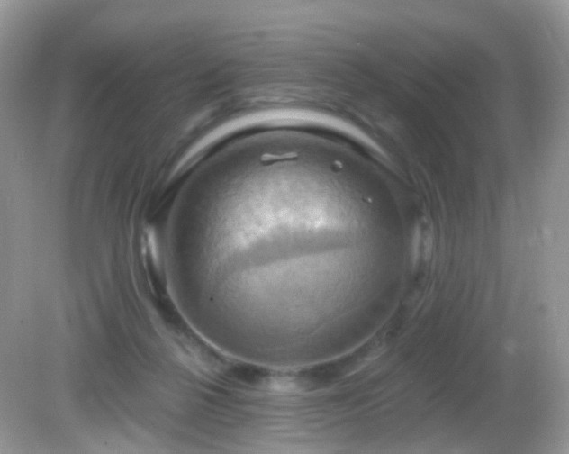 X0000083040264200702021159