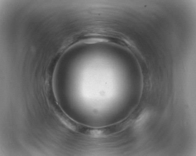 X0000083040265200702021159