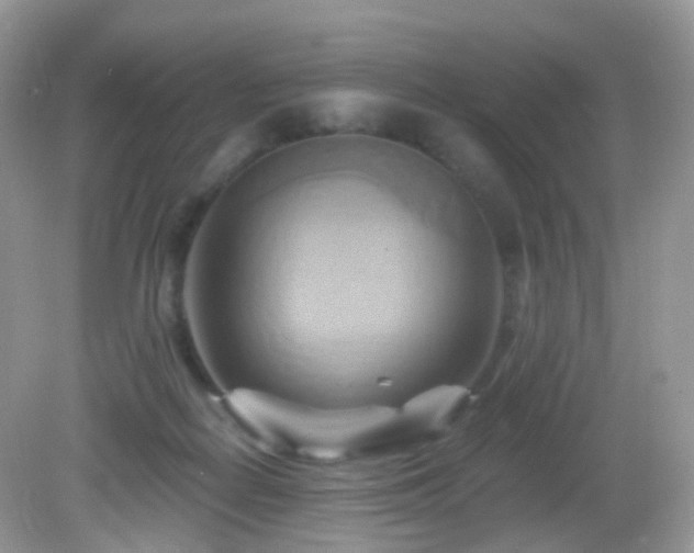 X0000083040266200702021159