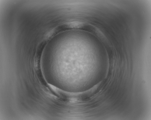 X0000083040268200702021159