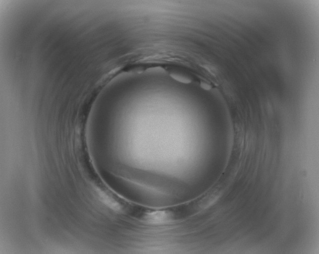 X0000083040269200702021159