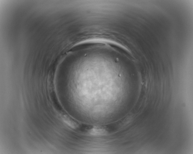 X0000083040270200702021159