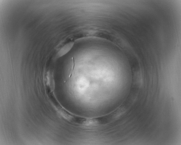 X0000083040274200702021159