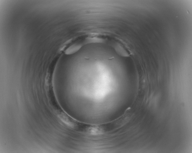 X0000083040275200702021159