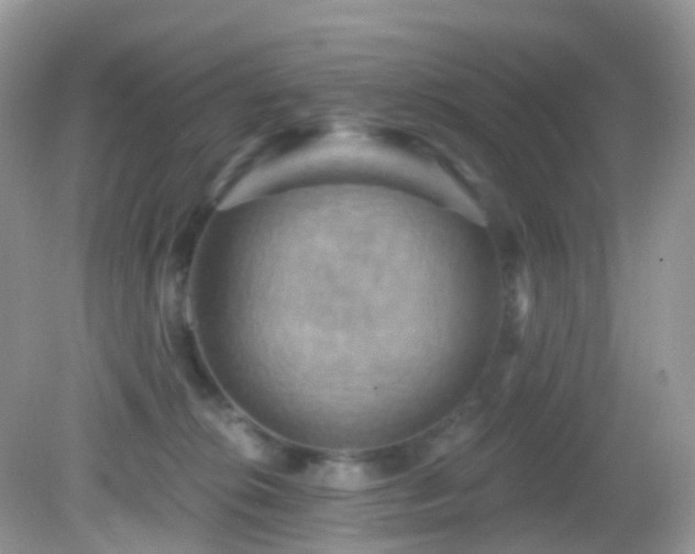 X0000083040276200702021159