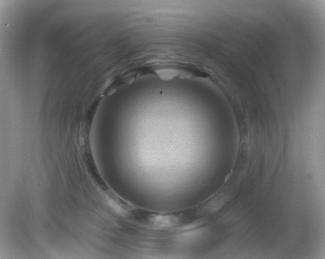 X0000083040277200702021159