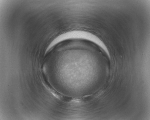 X0000083040280200702021200