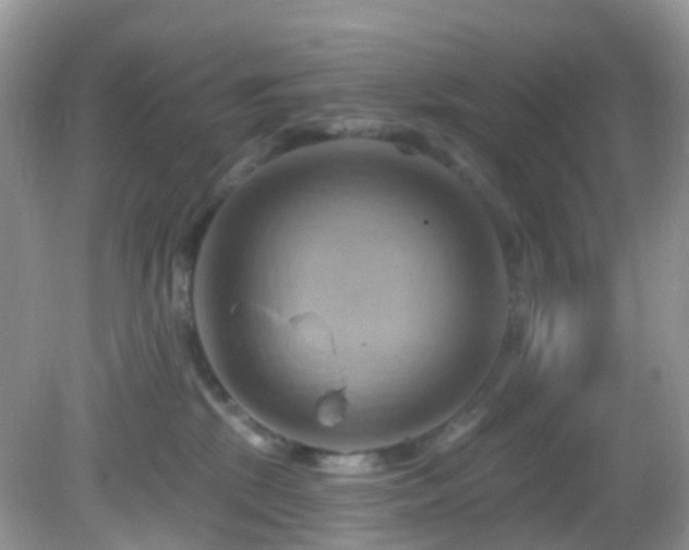 X0000083040281200702021200