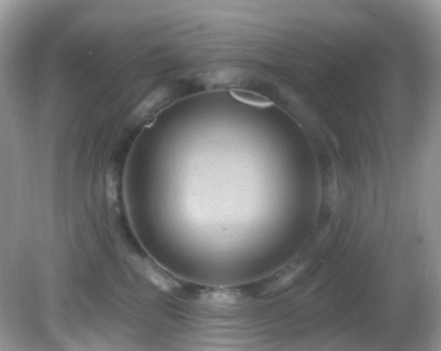 X0000083040282200702021200