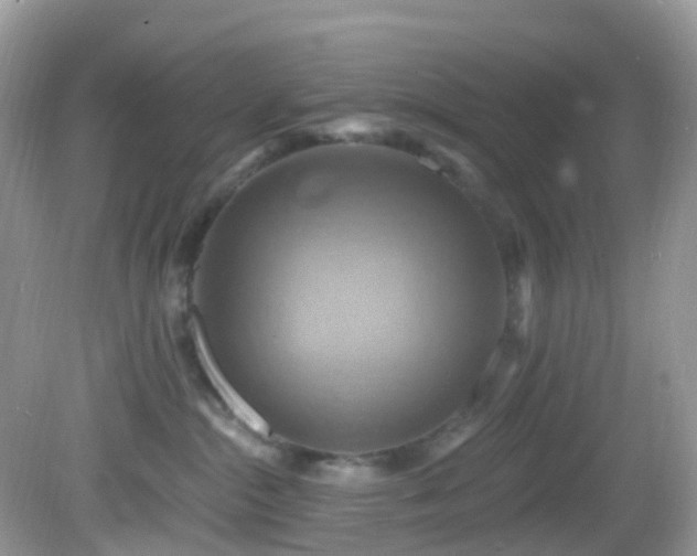 X0000083040284200702021200