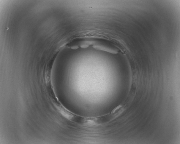 X0000083040285200702021200