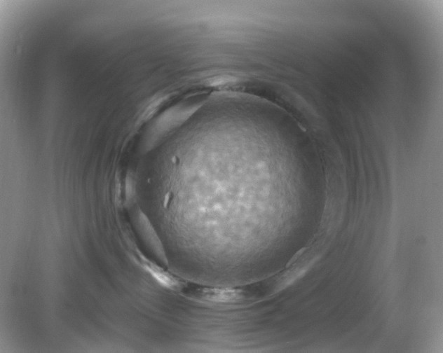 X0000083040288200702021200