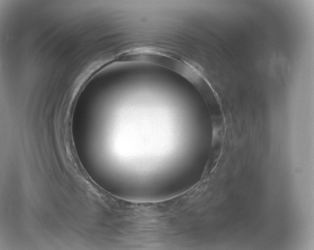 X0000083040289200702021159