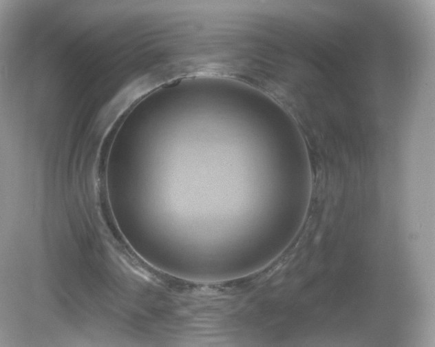 X0000083040290200702021159