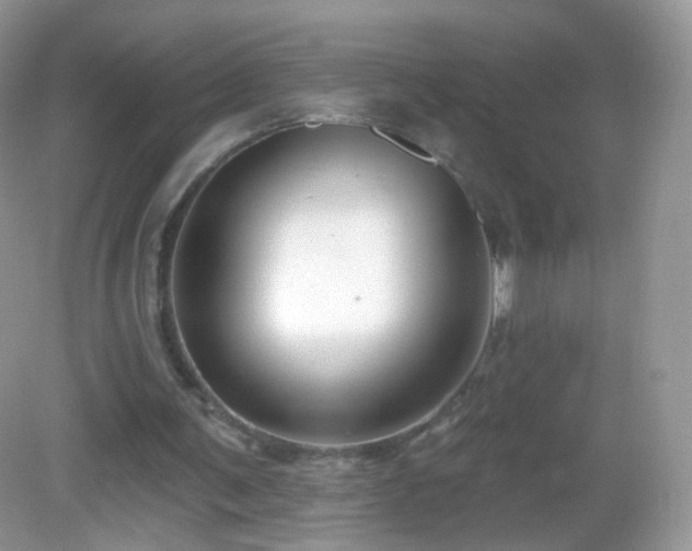 X0000083040291200702021159