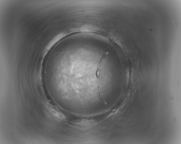 X0000083040292200702021159