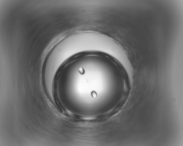 X0000083040293200702021159