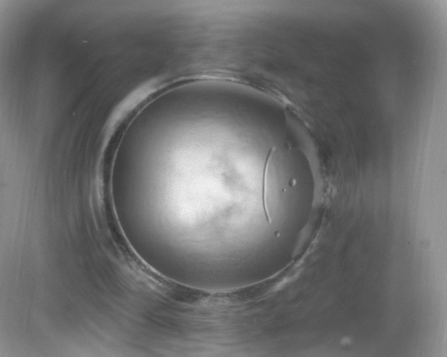 X0000083040294200702021159