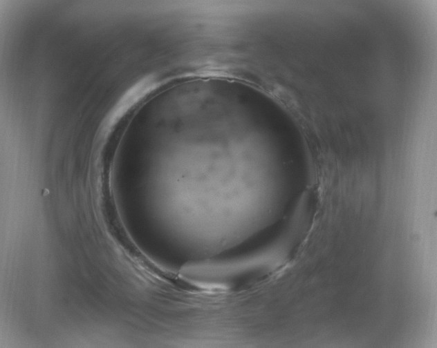 X0000083040295200702021159