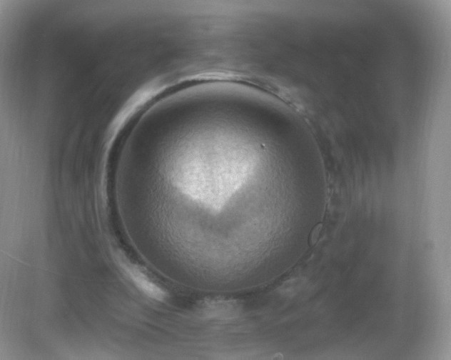 X0000083040296200702021159