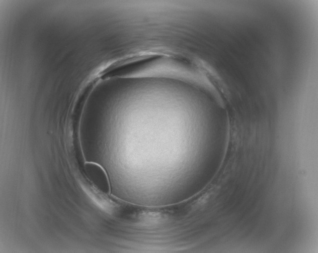 X0000083040298200702021159