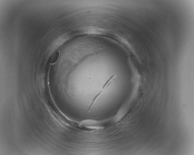 X0000083040299200702021159