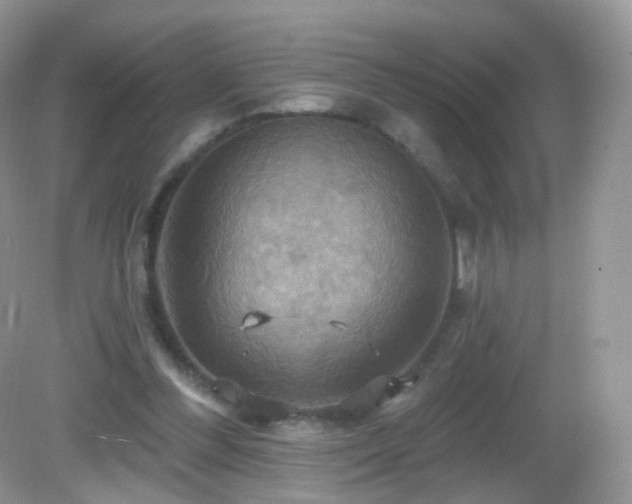 X0000083040300200702021159