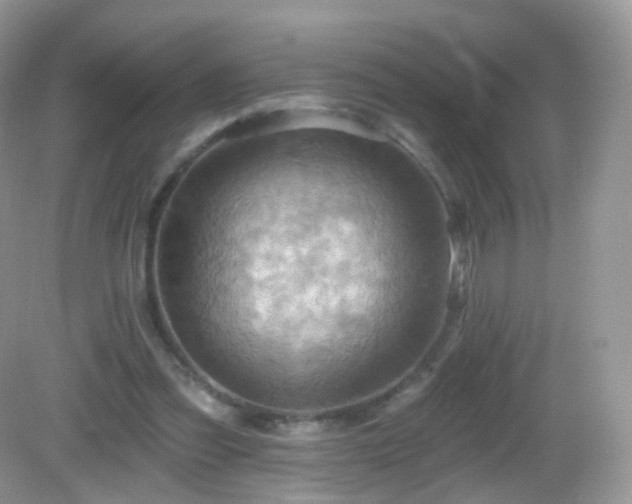 X0000083040301200702021159