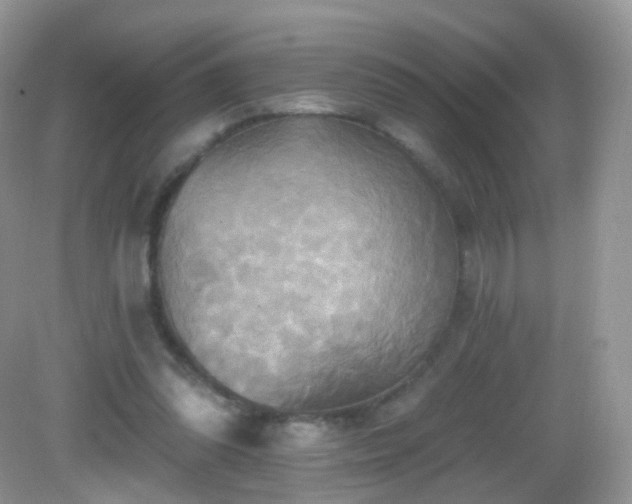 X0000083040302200702021159