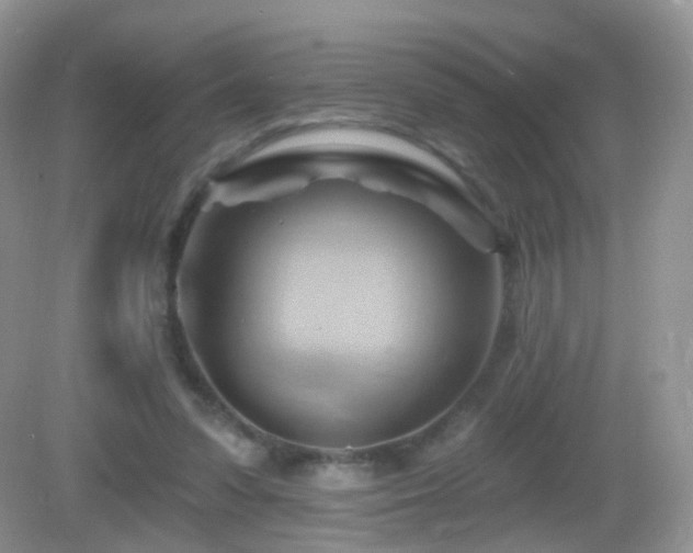 X0000083040303200702021159