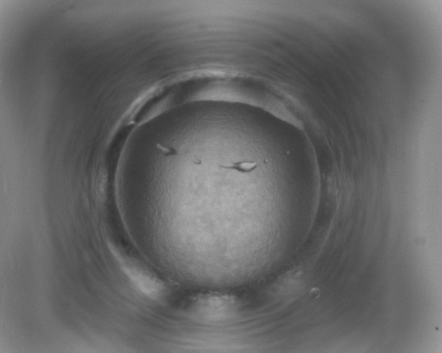 X0000083040304200702021159