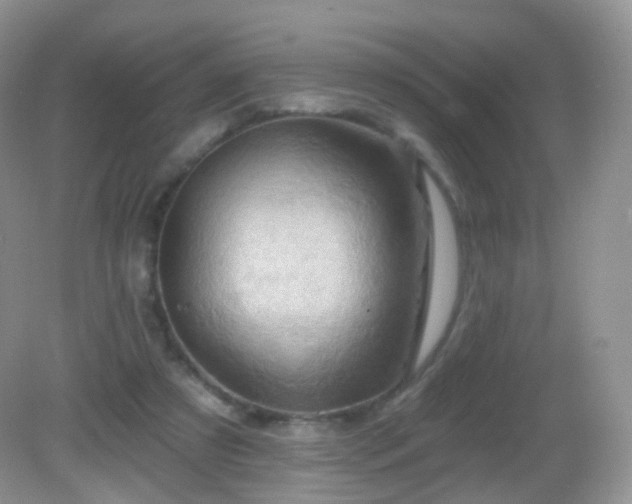 X0000083040305200702021159