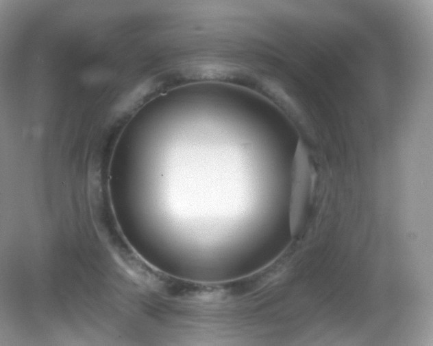 X0000083040306200702021159