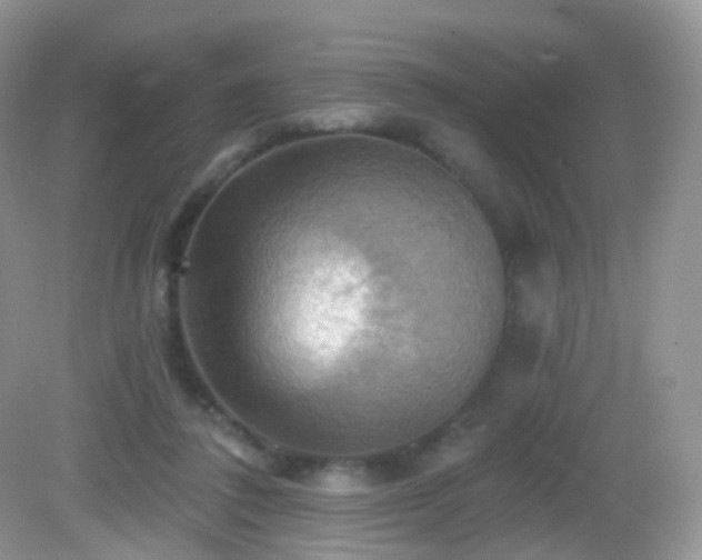 X0000083040308200702021159