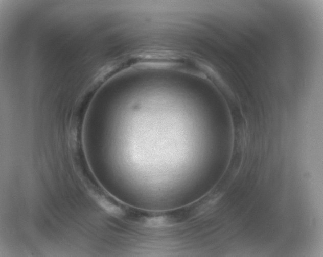 X0000083040309200702021159