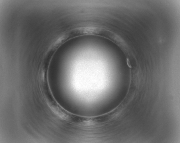 X0000083040310200702021159